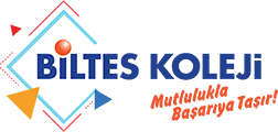 Biltes K12